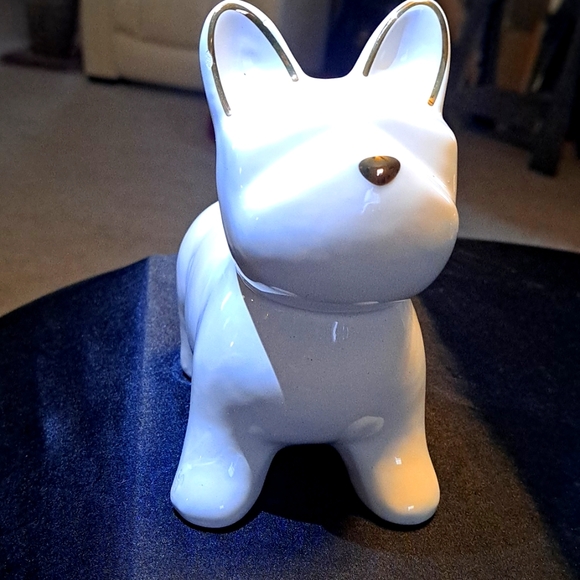 Other - Golden HEART NOSED FRENCHIES
